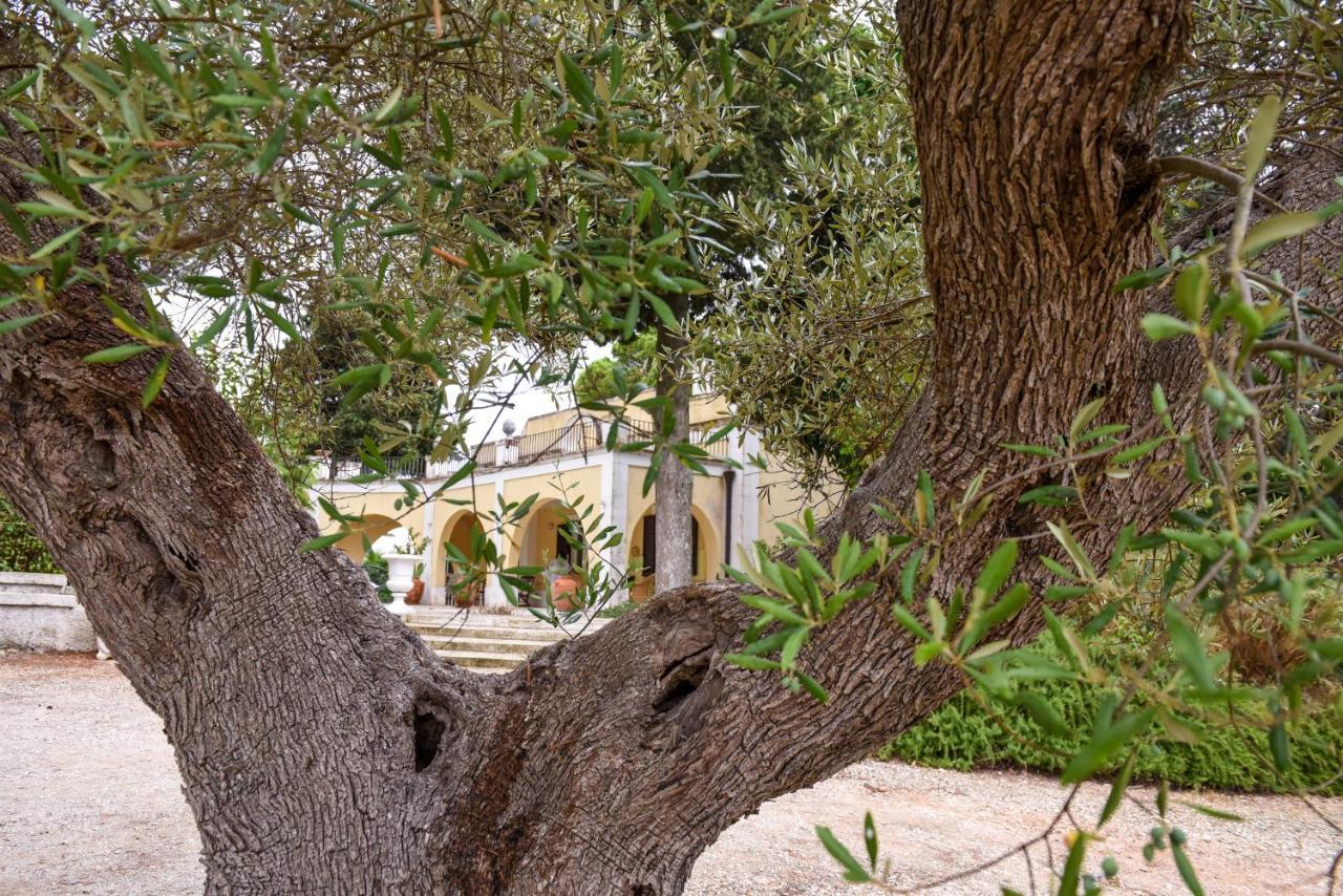 Villa Luciana Martina Franca Exterior foto